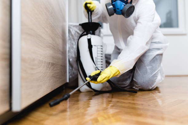 Best Affordable Pest Control Services  in Belle Rose, LA