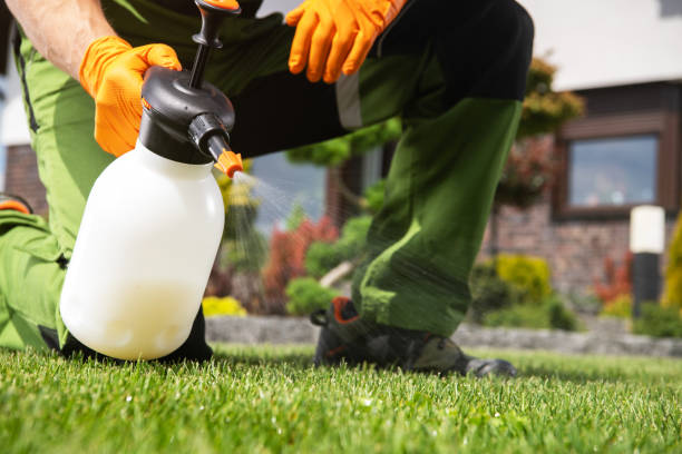 Best Affordable Pest Control Services  in Belle Rose, LA