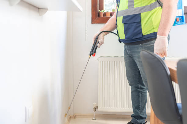 Best Ant Control Services  in Belle Rose, LA