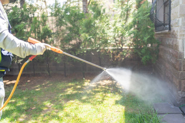 Professional Pest Control in Belle Rose, LA