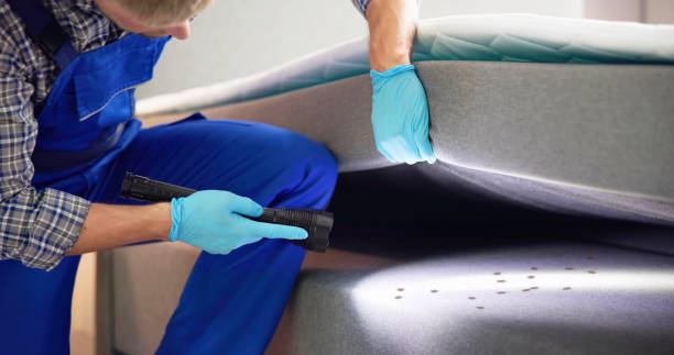 Best Commercial Pest Control Services  in Belle Rose, LA