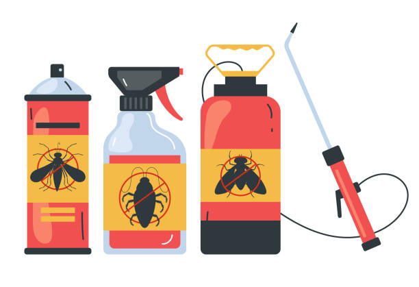 Best Insect Control  in Belle Rose, LA