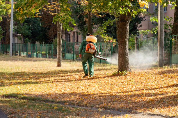 Best Exterminator Services  in Belle Rose, LA